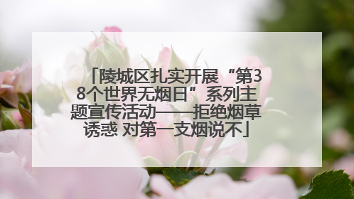 陵城区扎实开展“第38个世界无烟日”系列主题宣传活动——拒绝烟草诱惑 对第一支烟说不