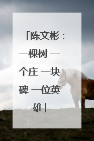 陈文彬：一棵树 一个庄 一块碑 一位英雄