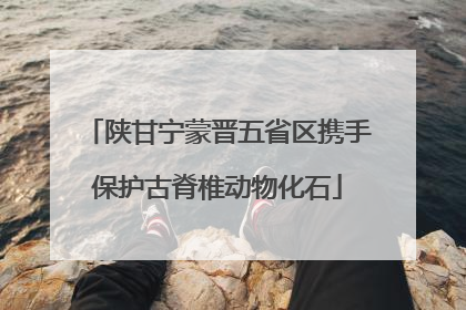 陕甘宁蒙晋五省区携手保护古脊椎动物化石
