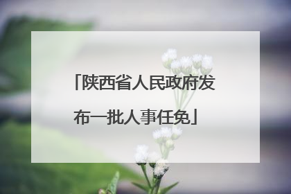 陕西省人民政府发布一批人事任免
