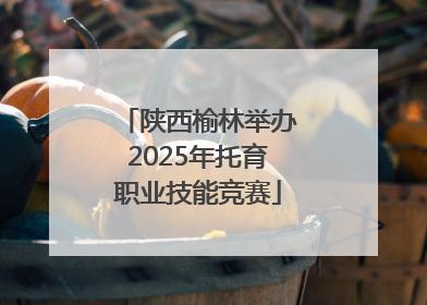 陕西榆林举办2025年托育职业技能竞赛