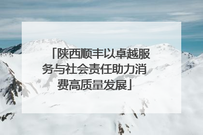 陕西顺丰以卓越服务与社会责任助力消费高质量发展