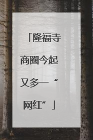 隆福寺商圈今起又多一“网红”