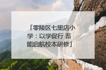 零陵区七里店小学：以学促行 蓄能启航校本研修