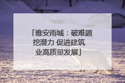 雅安雨城：破难题 挖潜力 促进建筑业高质量发展