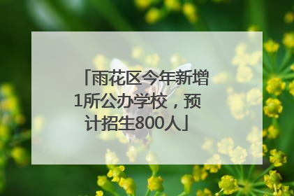 雨花区今年新增1所公办学校，预计招生800人
