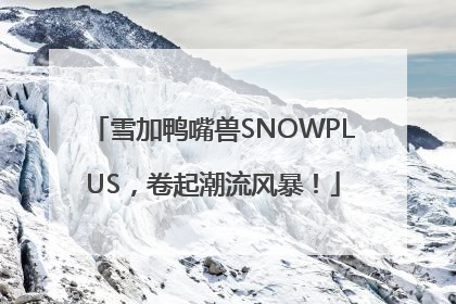 雪加鸭嘴兽SNOWPLUS，卷起潮流风暴！