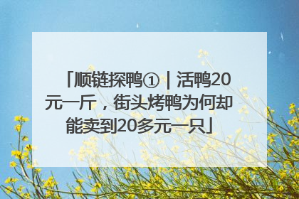 顺链探鸭①｜活鸭20元一斤，街头烤鸭为何却能卖到20多元一只