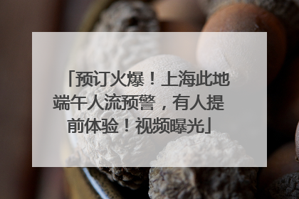 预订火爆！上海此地端午人流预警，有人提前体验！视频曝光