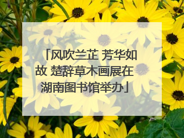 风吹兰芷 芳华如故 楚辞草木画展在湖南图书馆举办