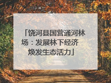 饶河县国营通河林场：发展林下经济 焕发生态活力