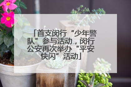 首支闵行“少年警队”参与活动，闵行公安再次举办“平安快闪”活动