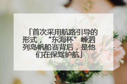 首次采用航路引导的形式，“东海杯”嵊泗列岛帆船赛背后，是他们在保驾护航