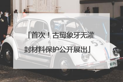 首次！古蜀象牙无灌封材料保护公开展出