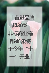 首进品牌超30% 非标商业亳都·新象将于今年“十一”开业