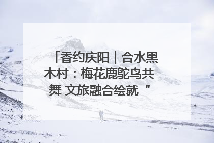 香约庆阳｜合水黑木村：梅花鹿鸵鸟共舞 文旅融合绘就“诗与远方”