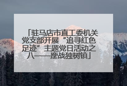 驻马店市直工委机关党支部开展“追寻红色足迹”主题党日活动之八——鏖战独树镇