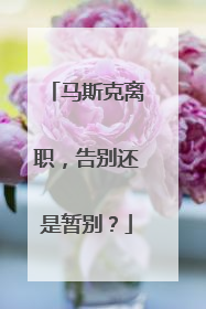 马斯克离职，告别还是暂别？