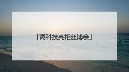 高科技亮相丝博会
