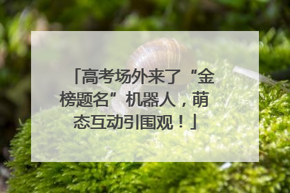 高考场外来了“金榜题名”机器人，萌态互动引围观！
