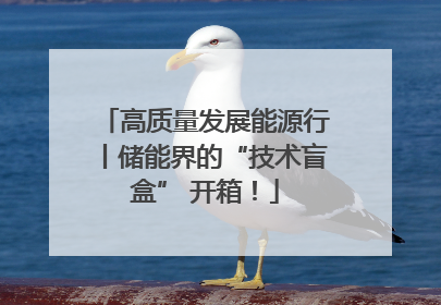 高质量发展能源行丨储能界的“技术盲盒” 开箱！