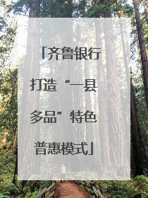 齐鲁银行打造“一县多品”特色普惠模式