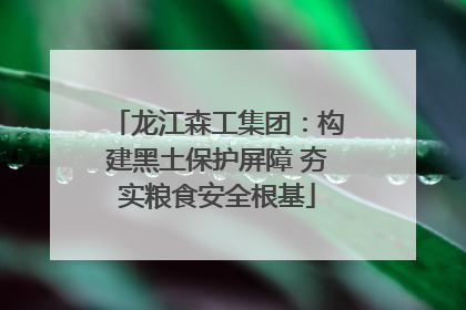 龙江森工集团：构建黑土保护屏障 夯实粮食安全根基