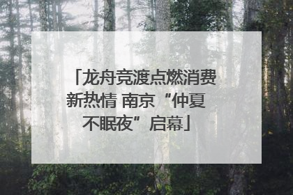 龙舟竞渡点燃消费新热情 南京“仲夏不眠夜”启幕