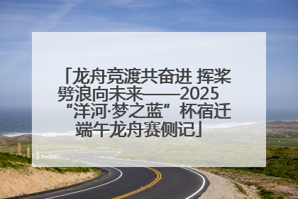 龙舟竞渡共奋进 挥桨劈浪向未来——2025“洋河·梦之蓝”杯宿迁端午龙舟赛侧记