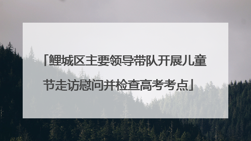 鲤城区主要领导带队开展儿童节走访慰问并检查高考考点