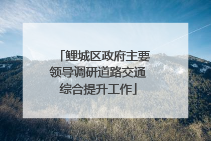 鲤城区政府主要领导调研道路交通综合提升工作