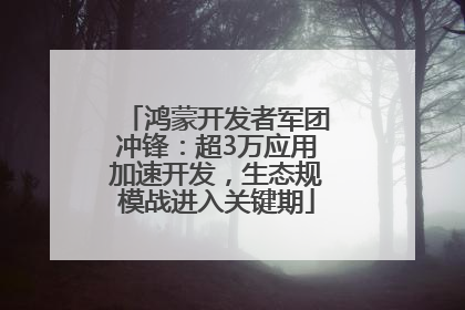 鸿蒙开发者军团冲锋：超3万应用加速开发，生态规模战进入关键期
