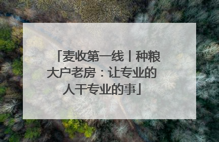 麦收第一线丨种粮大户老房：让专业的人干专业的事