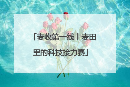 麦收第一线丨麦田里的科技接力赛