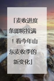 麦收进度条即将拉满！看今年山东麦收季的新变化