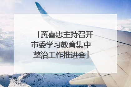 黄喜忠主持召开市委学习教育集中整治工作推进会