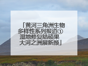 黄河三角洲生物多样性系列报道①湿地修复结硕果 大河之洲展新颜