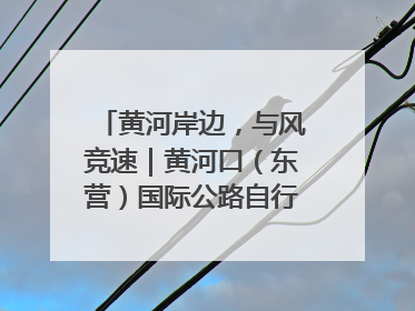 黄河岸边，与风竞速｜黄河口（东营）国际公路自行车赛举行