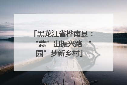 黑龙江省桦南县：“蒜”出振兴路 “园”梦新乡村