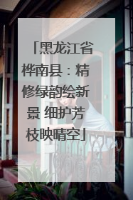 黑龙江省桦南县：精修绿韵绘新景 细护芳枝映晴空