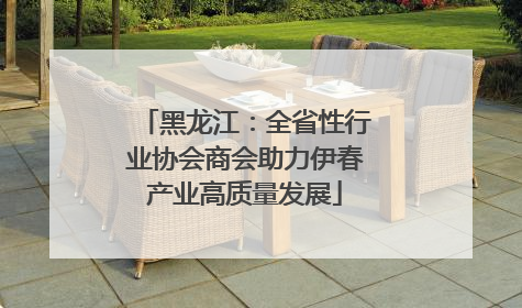 黑龙江：全省性行业协会商会助力伊春产业高质量发展