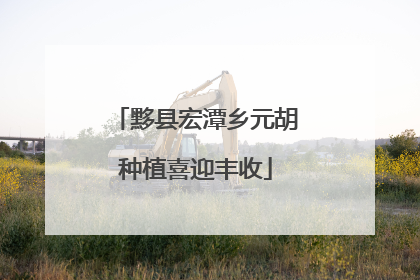 黟县宏潭乡元胡种植喜迎丰收
