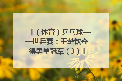 （体育）乒乓球——世乒赛：王楚钦夺得男单冠军（3）