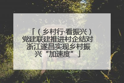 （乡村行·看振兴）党建联建推进村企结对 浙江遂昌实现乡村振兴“加速度”