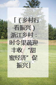 （乡村行·看振兴）浙江乡村：时令果蔬迎丰收 “甜蜜经济”促振兴
