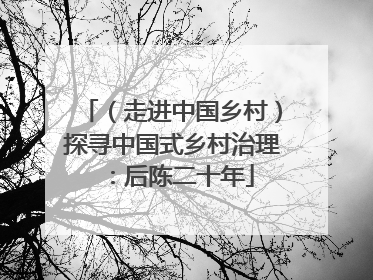 （走进中国乡村）探寻中国式乡村治理：后陈二十年