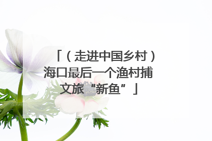 （走进中国乡村）海口最后一个渔村捕文旅“新鱼”