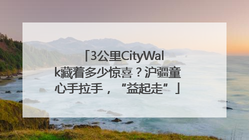 3公里CityWalk藏着多少惊喜？沪疆童心手拉手，“益起走”