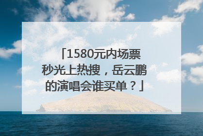 1580元内场票秒光上热搜，岳云鹏的演唱会谁买单？
