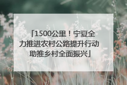 1500公里！宁夏全力推进农村公路提升行动 助推乡村全面振兴